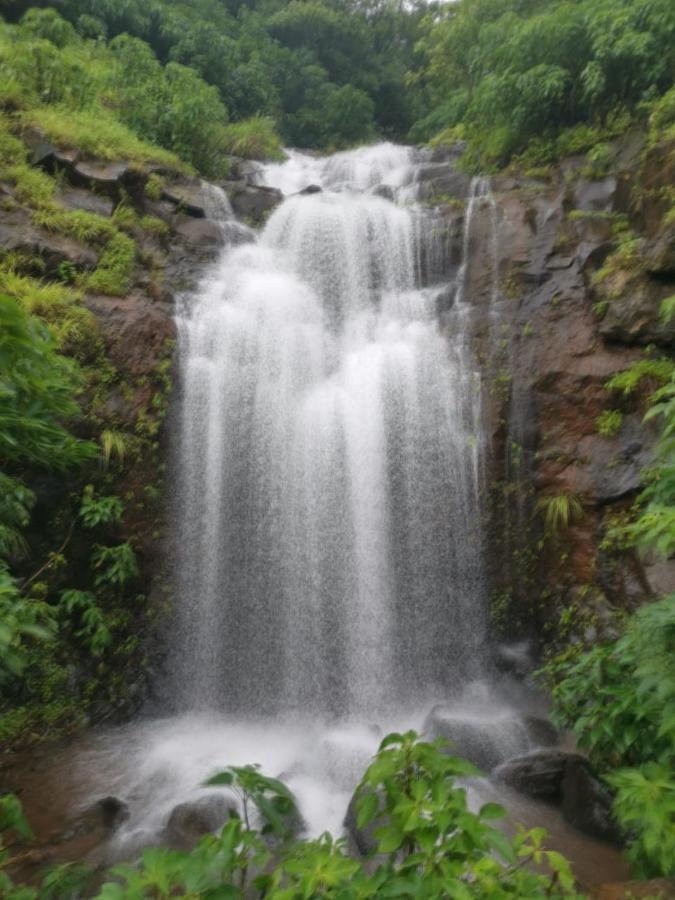 Soul Tree Villa 50 Super Luxury Villa With Heated Plunge Pool And Jacuzzi Lavasa Esterno foto